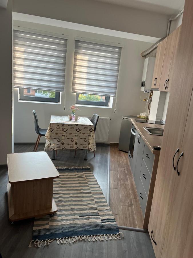 Ella Wings Apartahotel Drobeta Turnu Severin Bagian luar foto